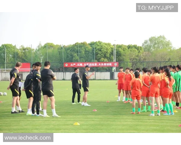 踢足球进入新阶段探索青少年足球发展与竞技水平提升的路径