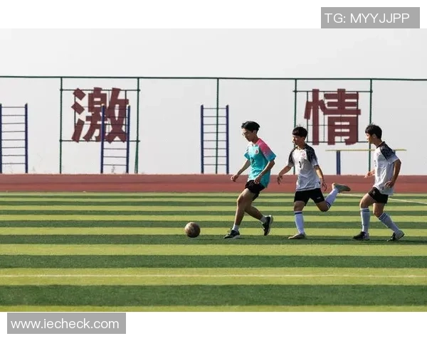 银鹰足球：激情与梦想交织的绿茵场上演绎青春的无限可能与团队的力量